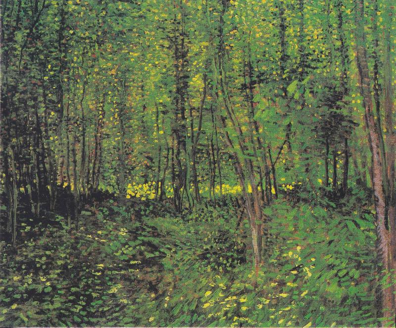 Vincent Van Gogh Trees and underwood Spain oil painting art